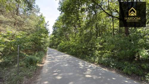 Cisza natura woda prąd światłowód MPZP Kampino