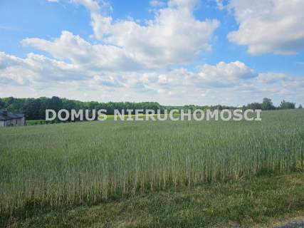 Działka w Tworzyjankach