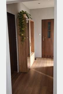 Mieszkanie Pyskowice 2 pokoje 1 piętro
