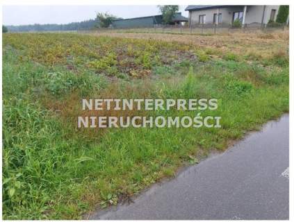 Syndyk sprzeda działkę-Tarłów-900 m2