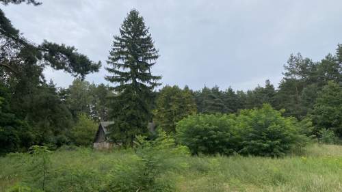 Pruszewiec, koło Tuczna - bajeczna działka w lesie