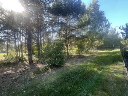Działka na sprzedaż, 7630 m2, Korzecznik-Podlesie