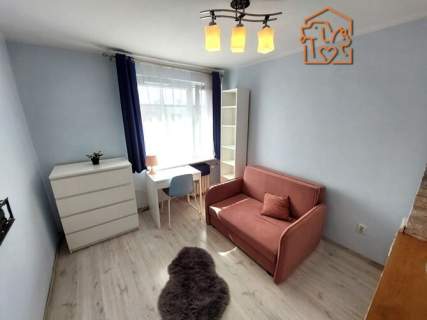 Zbigniewa 2,Szwederowo,przyjazne zwierzętom studio