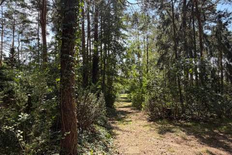 Tuchlin, dom letniskowy na działce 1172 m2