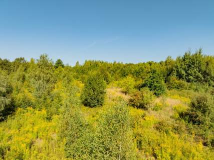 Włosań, działka rolna, 49 arów