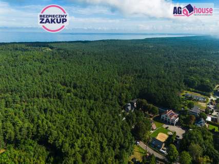Pierwsza linia brzegowa Zalewu Wiślanego