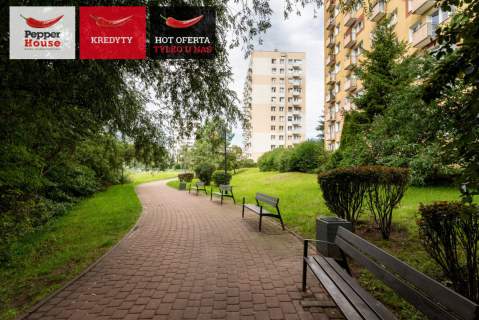 Z widokiem na park - 2 pokoje od zaraz