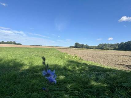 Działka 1900m2 w wyjątkowym miejscu