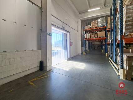 Hala - magazyn 1462 m2