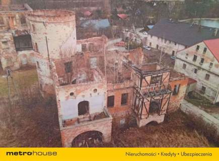 Ruiny Willi i Pałacu w Starej Kraśnicy 2,8 ha