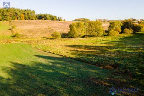 Działka rolna na sprzedaż, 4200 m2, Szczodrowo