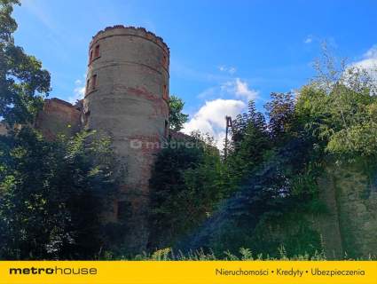 Ruiny Willi i Pałacu w Starej Kraśnicy 2,8 ha