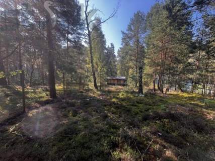 Leśna działka na Wydmach Międzyborowskich 2221 m2 - bez prowizji