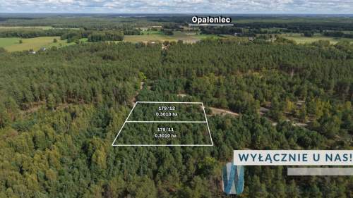 Działka rolna 3010 m2 / Opaleniec / Chorzele
