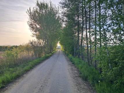 Sprzedam dom z sadem nad Wisłą z działką 57 ar