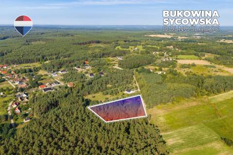 Działka leśna pow. 29.600 m , Bukowina Sycowska