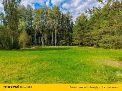 Dom w środku lasu - 9512 m2 - Walne, Wigry