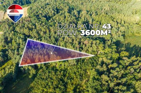 Działka leśna pow. 29.600 m , Bukowina Sycowska