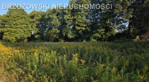 Białołęka, 2920 m2, WZ mieszkaniowa dwulokalowy
