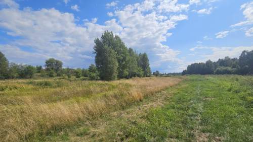 Działka,Luta, Włodawa, 1,5 ha, budowlana, urokliwa