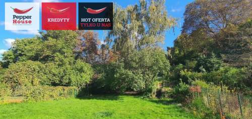 5 pokoi, 103 m z ogrodem i salonem 3,75m