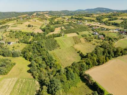 Działka rolno-leśna, 1,56 ha, Sadek, Jodłownik