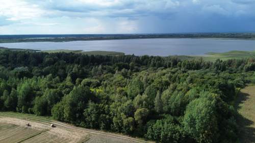 Działka, Wólka Nadrybska, 30 ar,