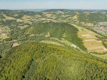 Grunt leśny - 90-letni drzewostan - Młynne, gmina Limanowa
