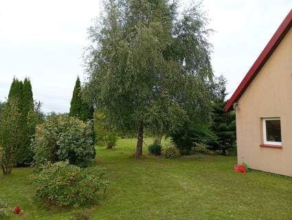 Działa 5000m2