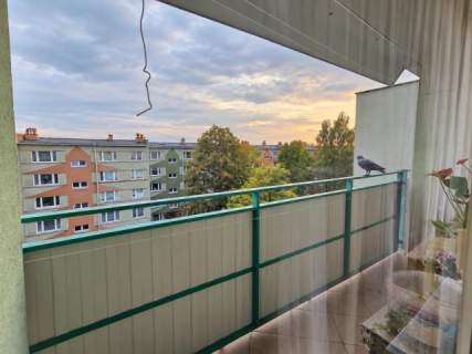 Wrzosowiak 2 pokoje duży balkon do odświeżenia