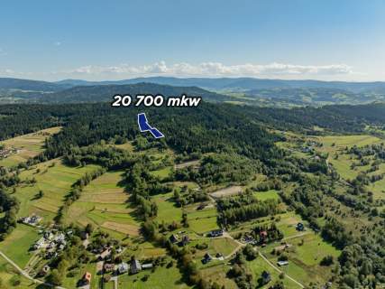 Działka leśna 20 700 m Kasina Wielka