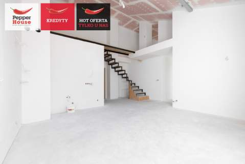 Dwupoziomowy apartament Puck
