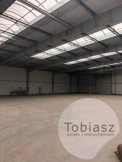Magazyn/ hala warsztatowa ok.800 m2, brama na 0
