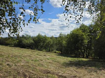 46 ARÓW W TUCHOWIE - BLISKO LASU, BLISKO MIASTA 