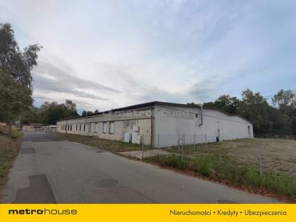 Hala 2409 m - Produkcja i magazyny - 250 Kw