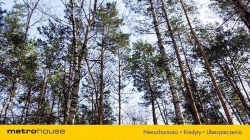 Na sprzedaż działki leśne - Żmijewo Ponki