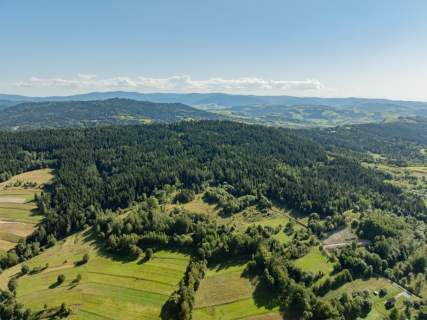 Działka leśna 20 700 m Kasina Wielka