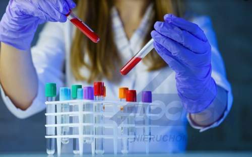 LOKAL NA LABORATORIUM I BIURO