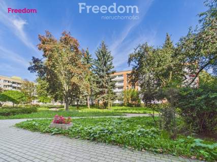 2 pokoje na wynajem Bródno