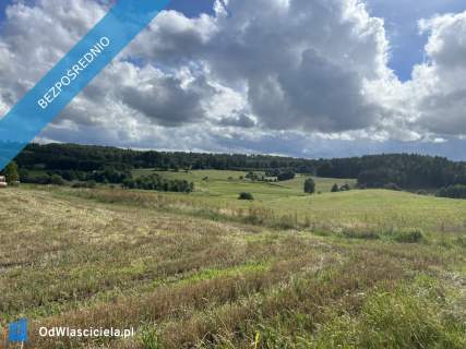 Działka siedliskowa 3 003 m z prawem zabudowy Sopieszyno 
