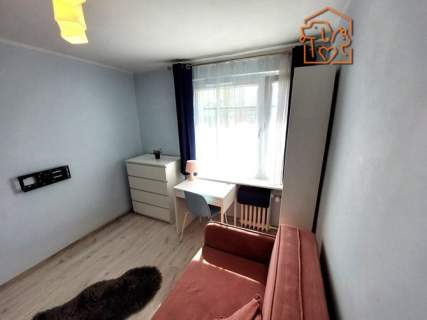 Zbigniewa 2,Szwederowo,przyjazne zwierzętom studio