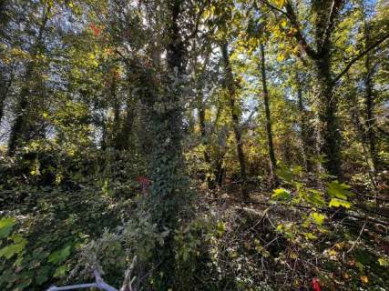 Działka 2376 m z MPZP - Międzyborów media