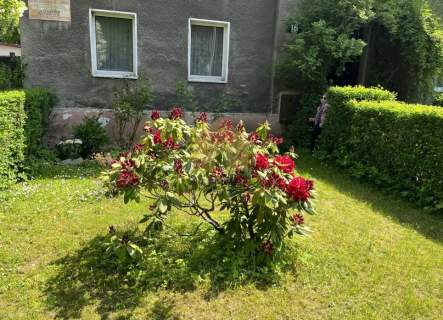 Dom 250m2/9pokoi/dokonała inwestycja