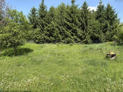 OBNIŻENIE CENY Morsko Jura Krakowsko-Częstochowska