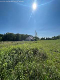 Białołęka, 2128 m2, WZ wolnostojący, dwulokalowy
