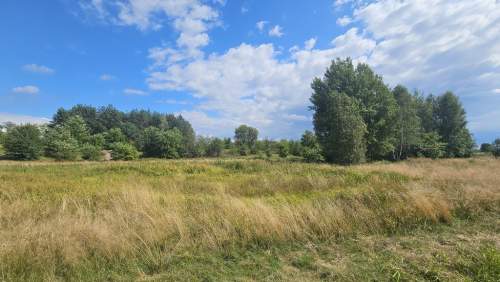Działka,Luta, Włodawa, 1,5 ha, budowlana, urokliwa