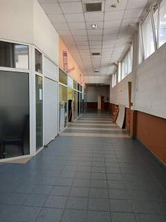 Lokal na handel i usługi I 32m I GLOB, Łódź