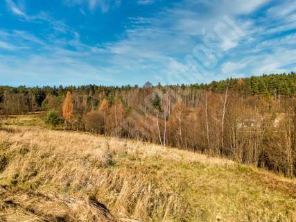 Działka w spokojnym miejscu blisko lasu - 155.000