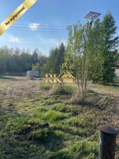 Działka rolna- budowlana 3000m2 Gołąbek gm Skórzec