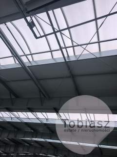 Magazyn/ hala warsztatowa ok.800 m2, brama na 0